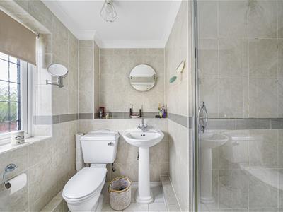 Picture 21